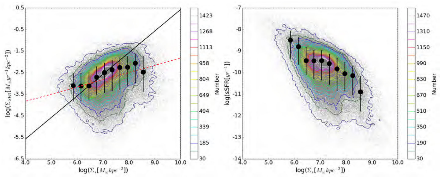 Spatially resolved star-forming main sequence in local universe