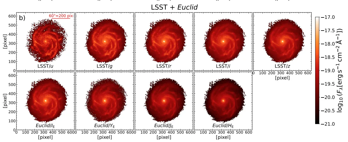 Synthetic LSST + Euclid images of a TNG50 galaxy used to test resolved SED fitting (Euclid Collaboration: Abdurro’uf et al. 2025).